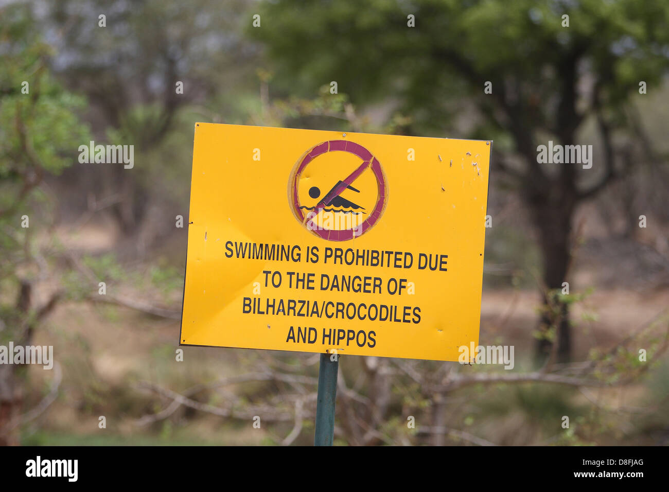 swimming sign Stock Photo