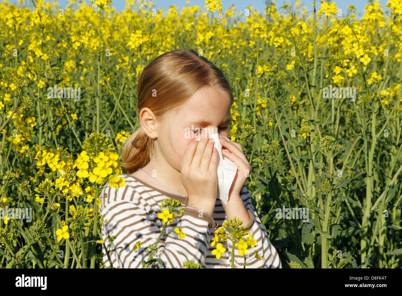 весенняя аллергия. пыльца растений поллиноз. аллерия. комнатные растения вызывающие аллергию. растения аллергики.