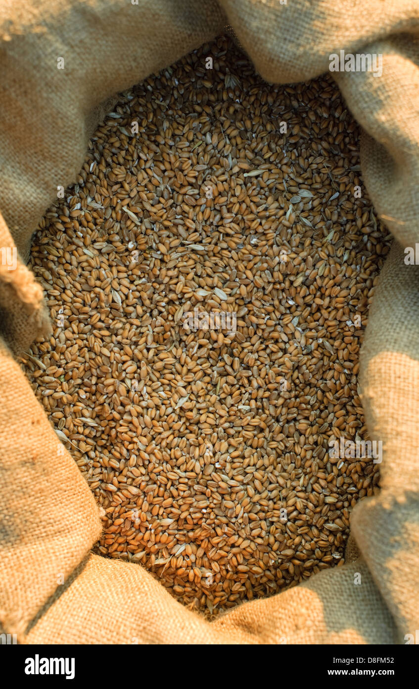 Bag with wheat Stock Photo Alamy