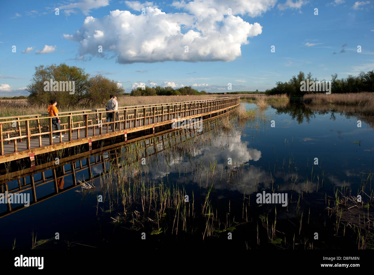 National park las tablas de daimiel stock photo alamy