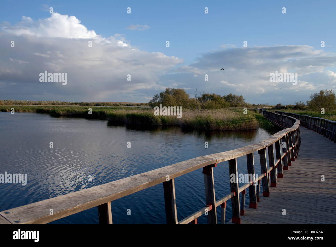 National Park Las Tablas de Daimiel Stock Photo
