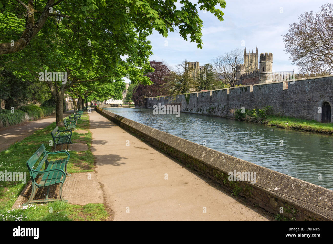 Moat surrounding the Bishops Palace in Wells, Somerset, UK, England - with Cathedral in background Stock Photo