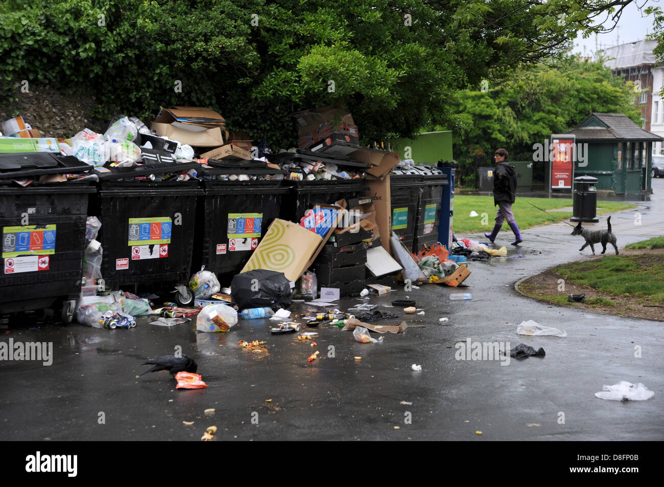 Brighton Sussex UK 28 May 2013 A crow feasts on the overflowing