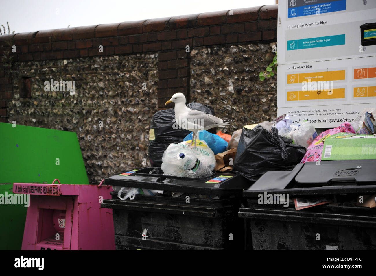 Brighton Sussex UK 28 May 2013 Overflowing rubbish from unemptied communal recycling bins in
