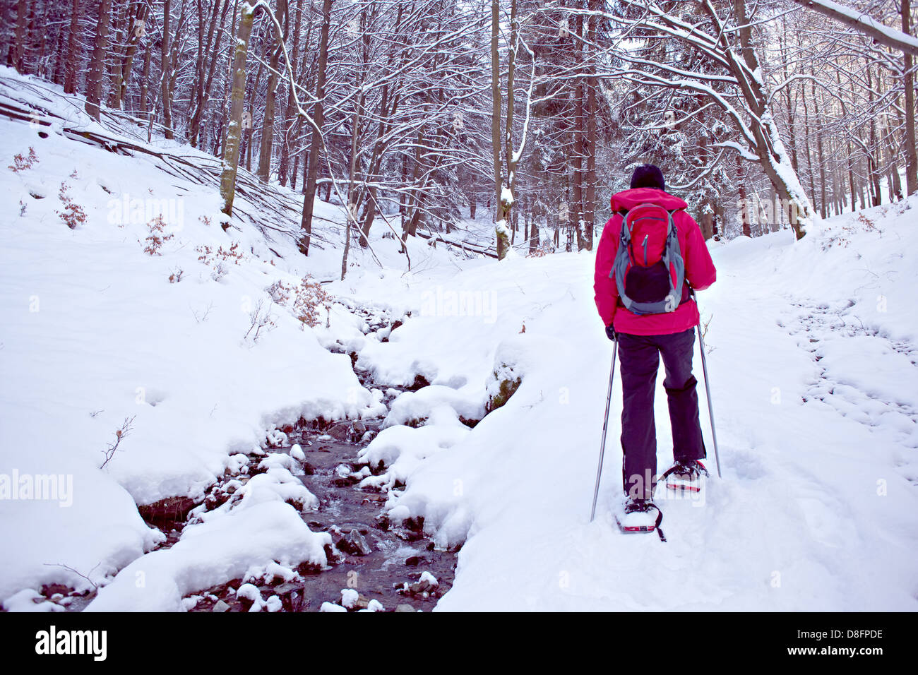 woman walking with snowshoes in a winter forest Stock Photo