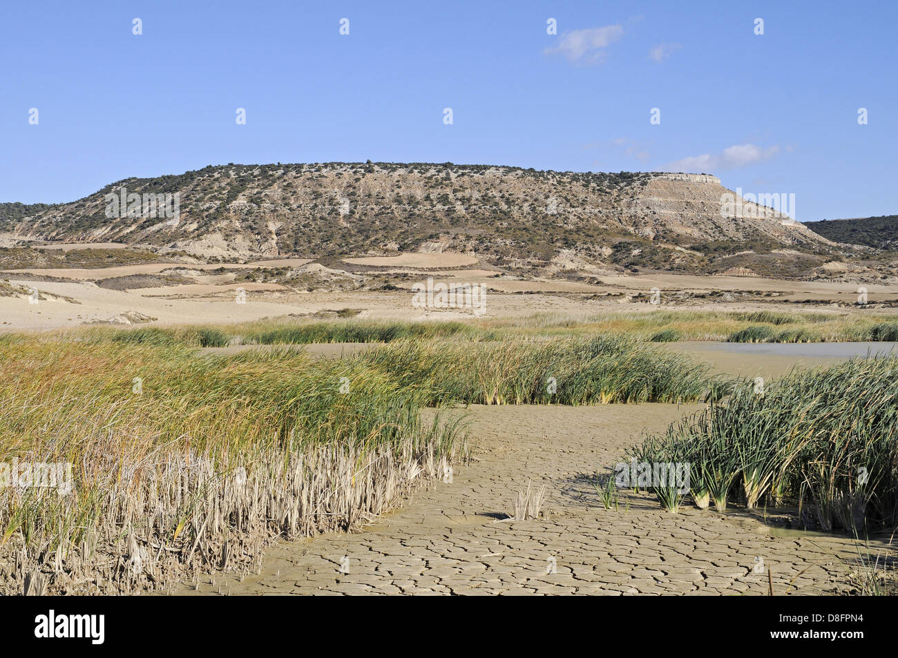Rissige Erde High Resolution Stock Photography and Images - Alamy