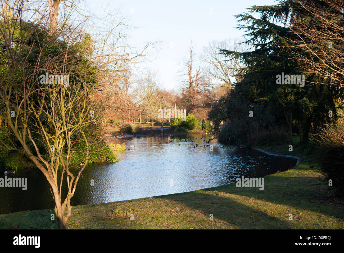 Ravenscourt Park Hammersmith London Stock Photo Alamy
