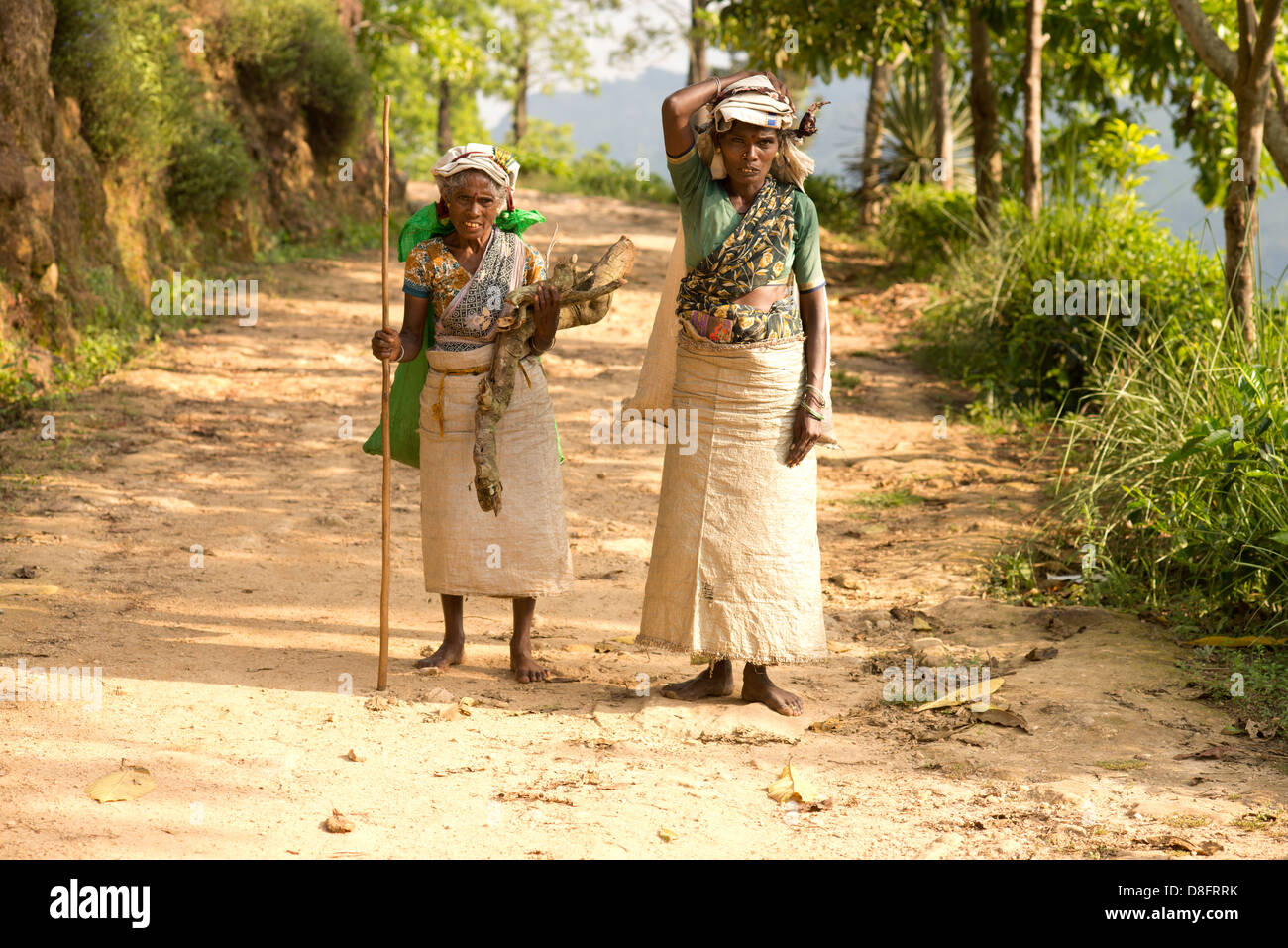 Tea pickers walking along road, Sri Lanka Stock Photo