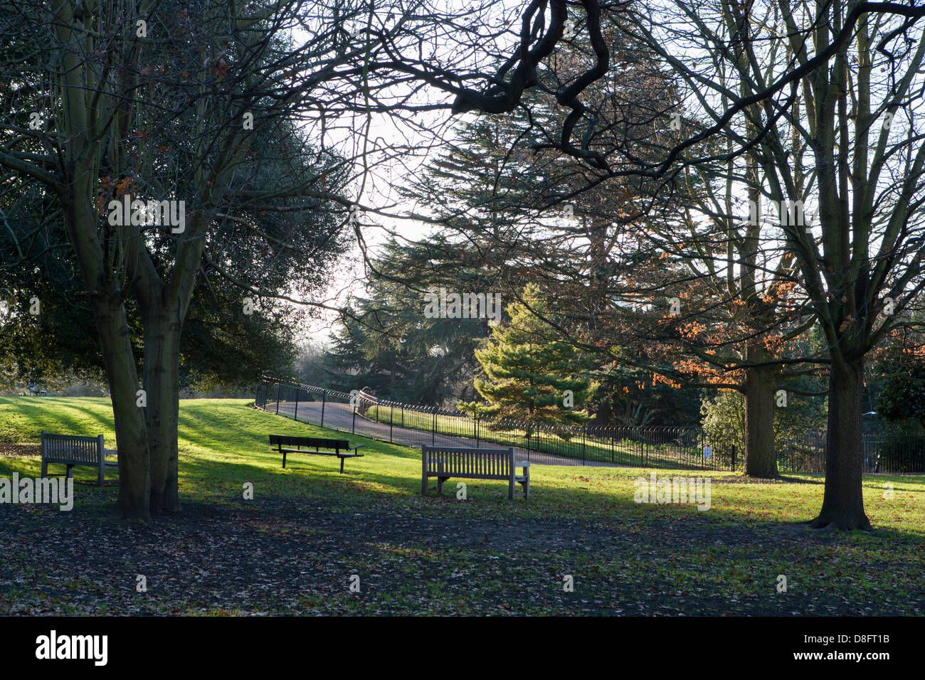 Ravenscourt Park Hammersmith London Stock Photo Alamy