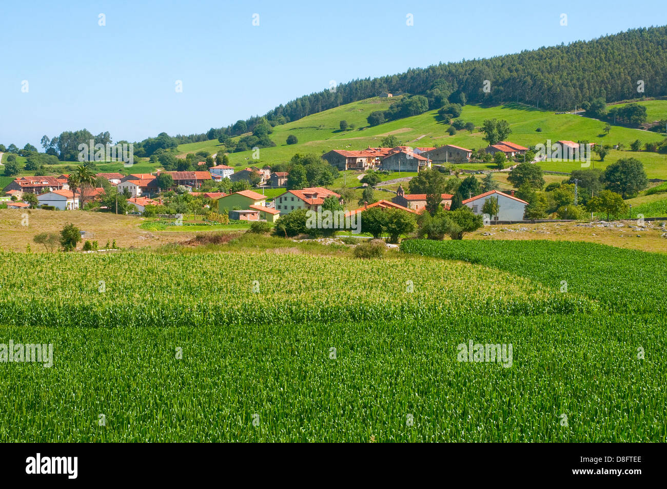 Campo de cultivo de maíz hi-res stock photography and images - Alamy