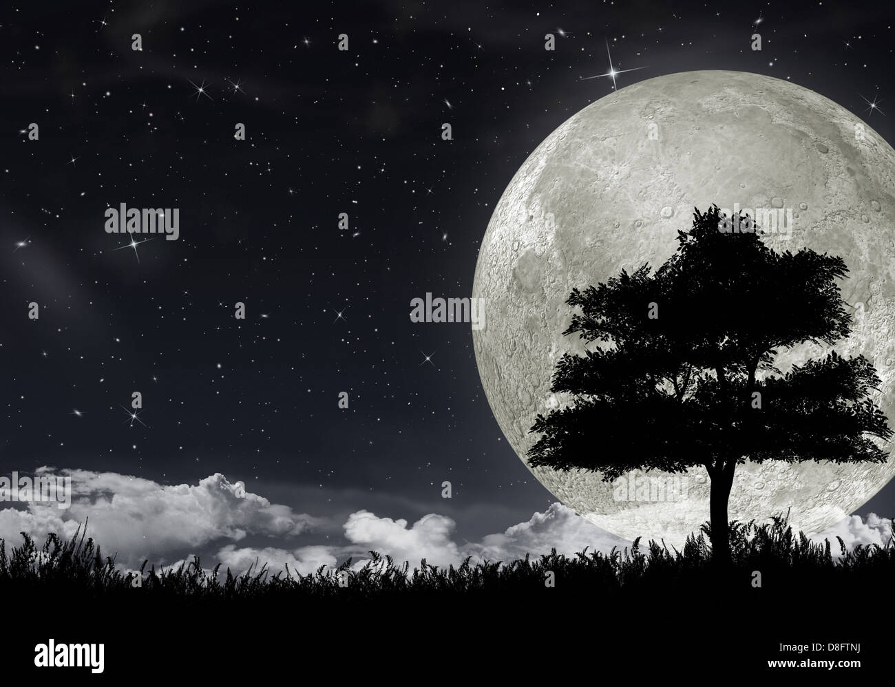 Silhouette of a tree against the big moon Stock Photo