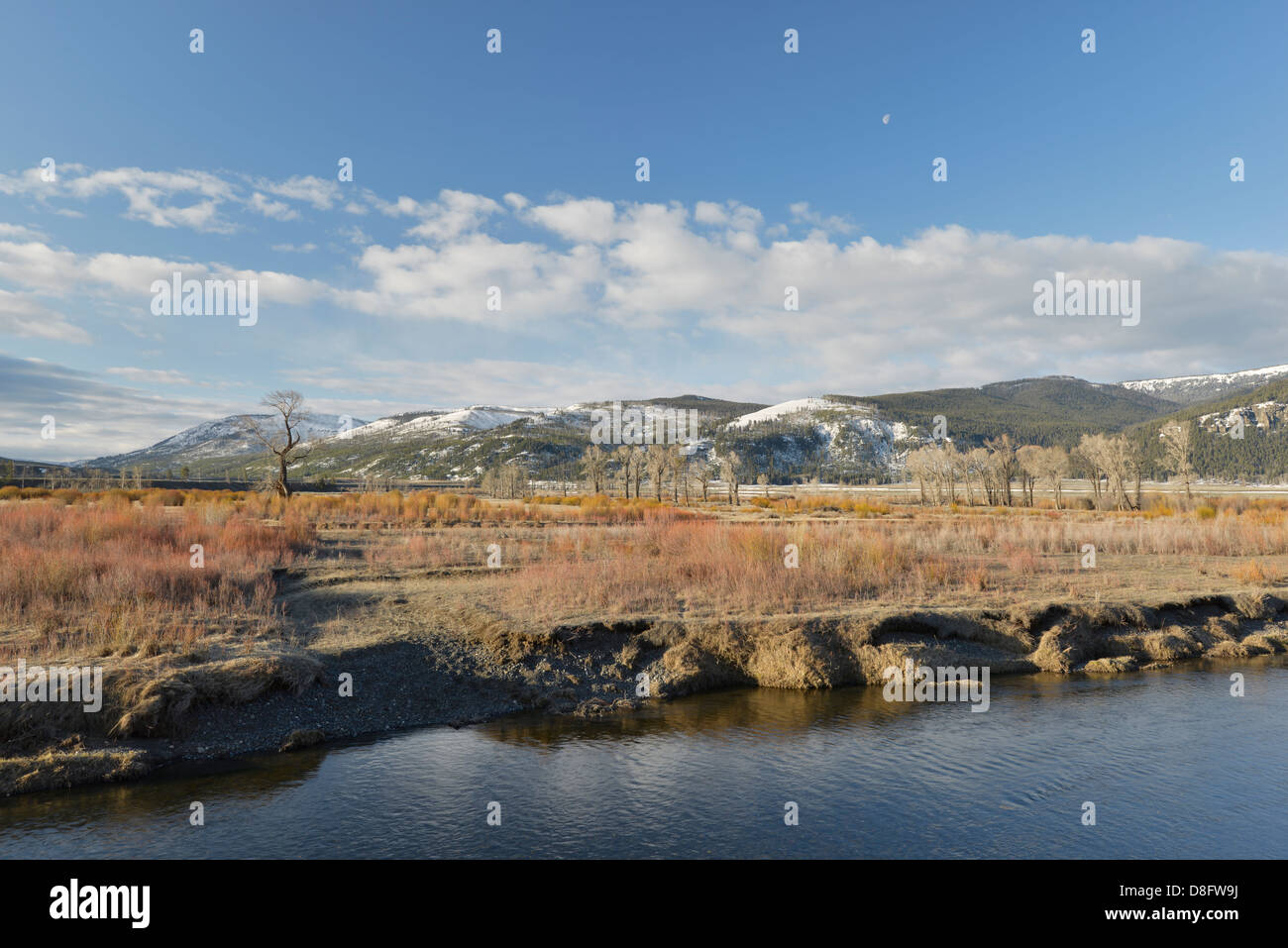 Lamar River, Lamar Valley, Yellowstone National Park, Yellowstone