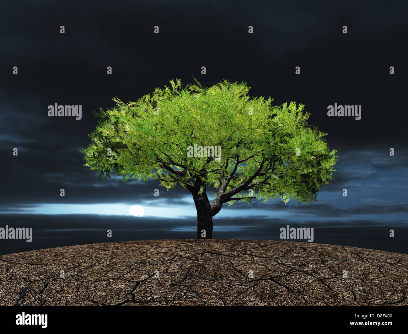 Tree on the cracked dry ground Stock Photo - Alamy