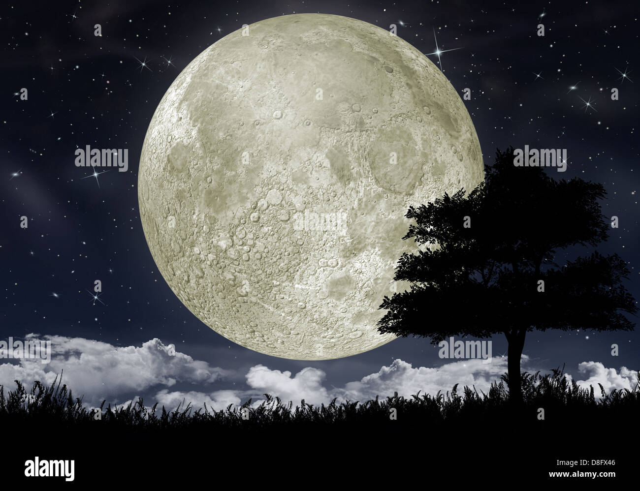 Silhouette of a tree against the big moon Stock Photo