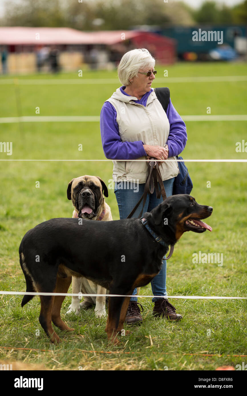 A Woman and her two dogs at a Show Stock Photo - Alamy
