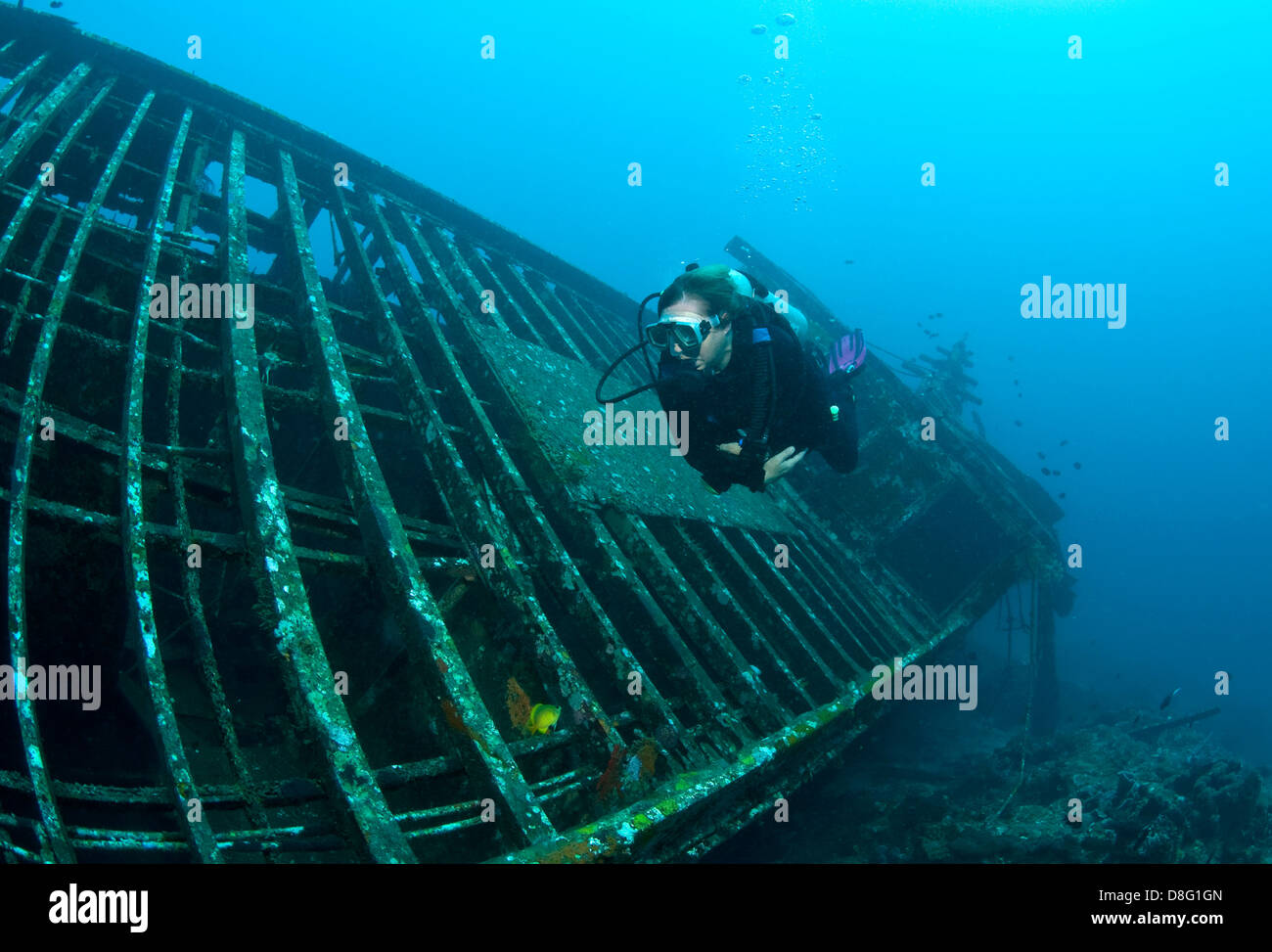 Diver on wreck Stock Photo