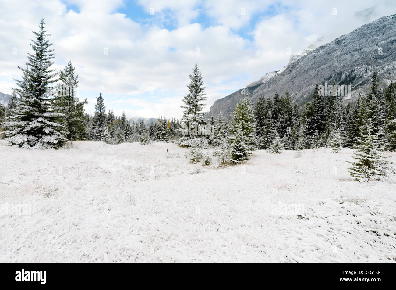First snow in banff hi res stock photography and images Alamy First snow in banff hi res stock photography and images Alamy