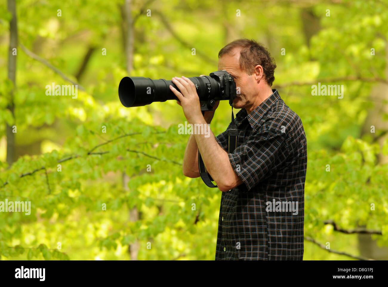 Wildlife Photographer Stock Photo