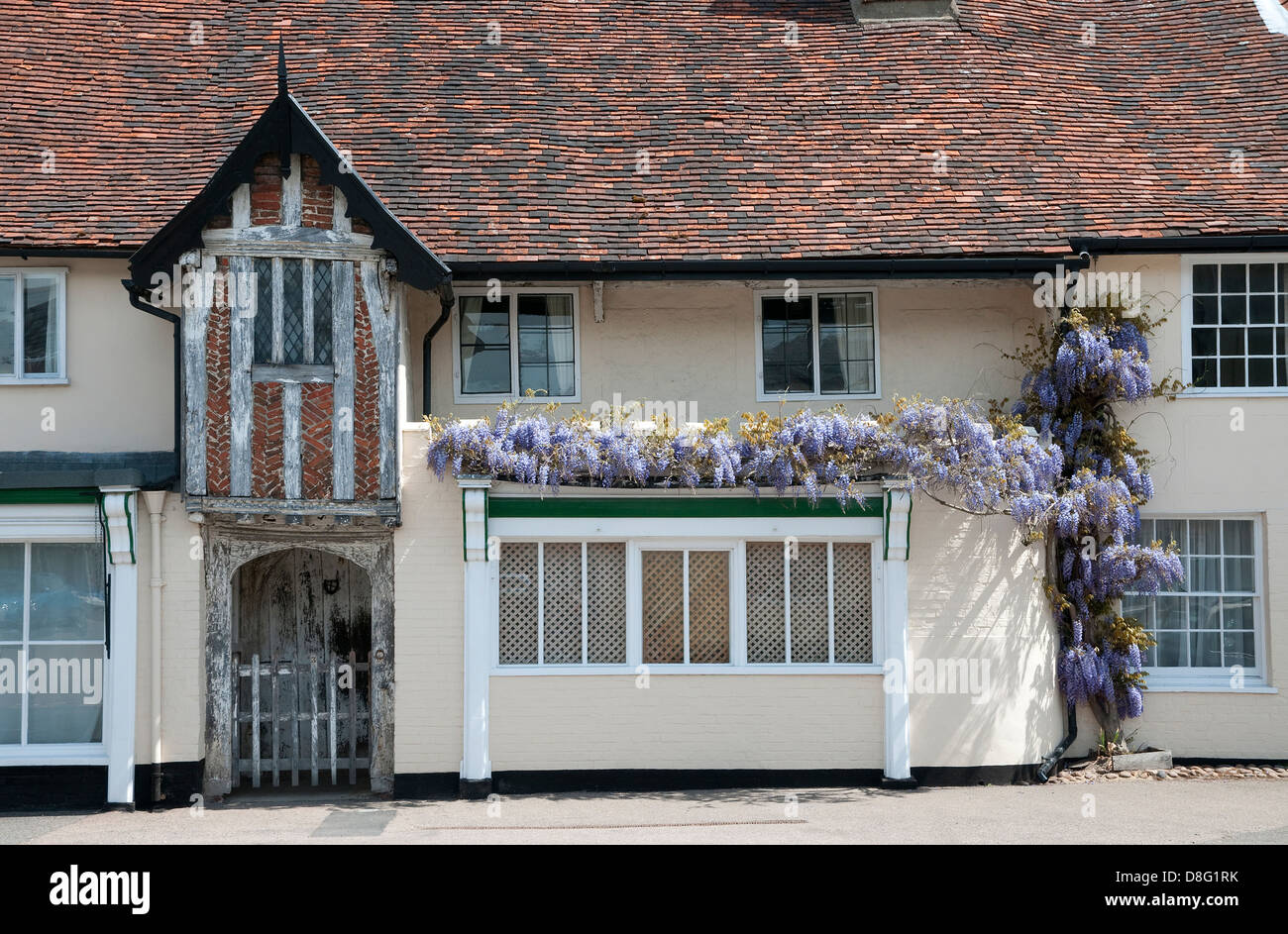 wisteria flowers on old house, debenham, suffolk, england Stock Photo