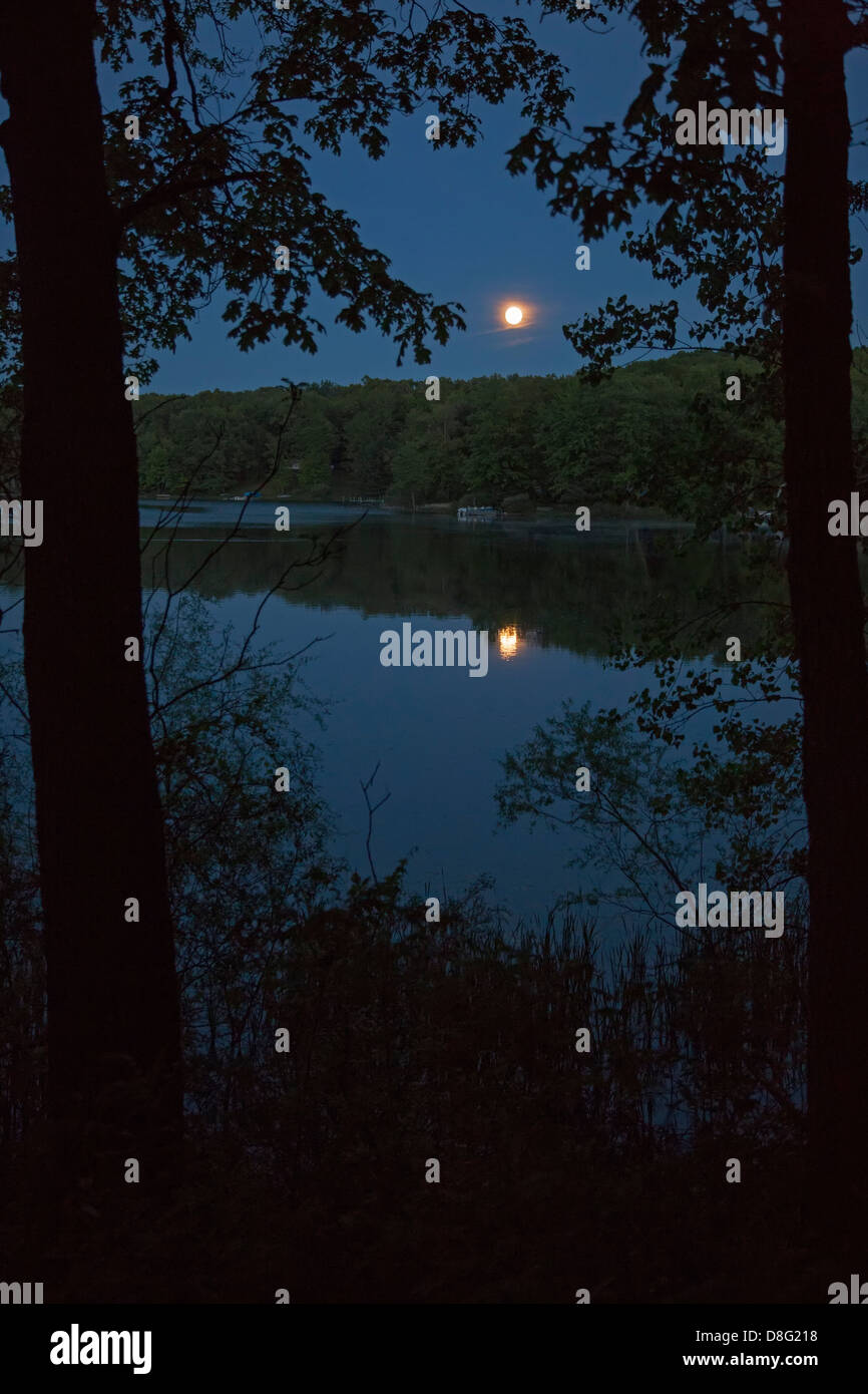 Prairieville, Michigan A full moon rises over Stewart Lake Stock