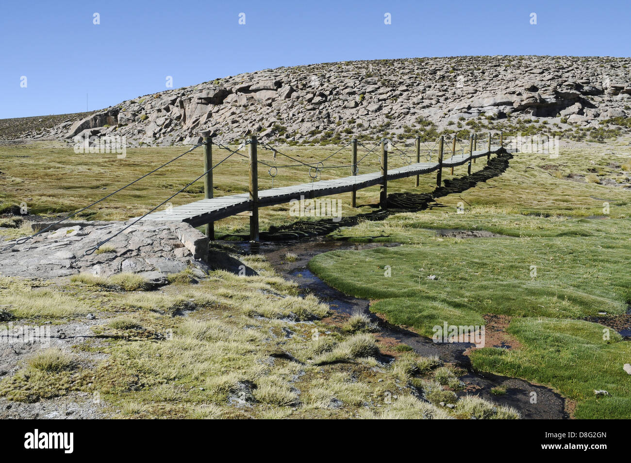 Lauca National park Stock Photo