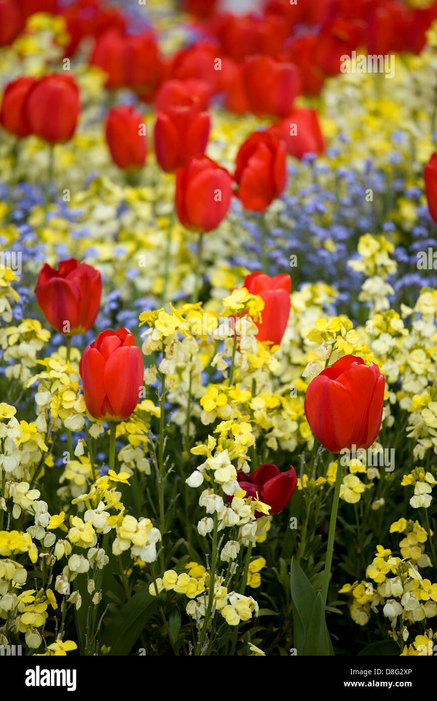 Flower Beds in front of Buckingham Palace, London, UK Stock Photo