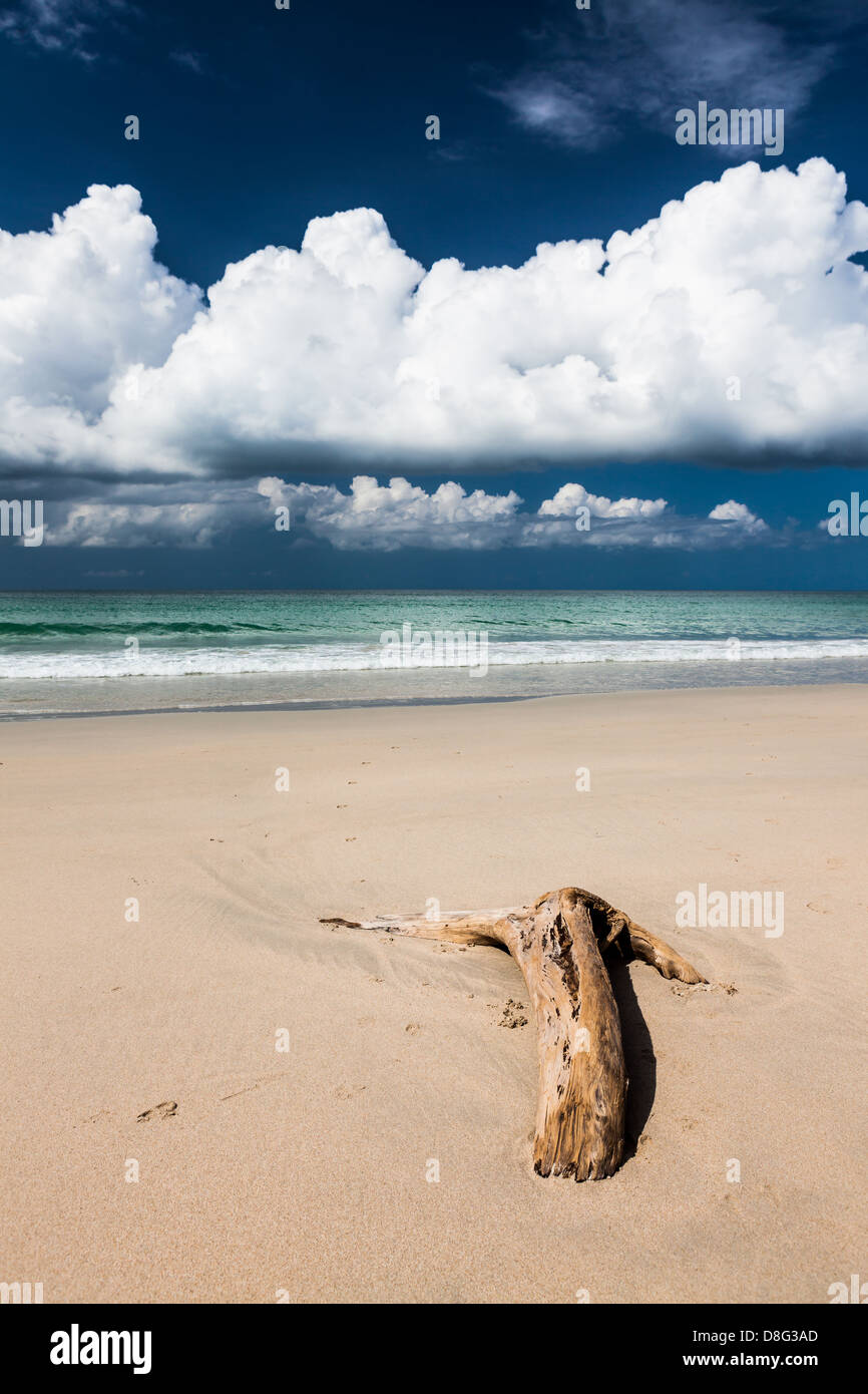 paradise beach with fine sand white clouds and dark blue sky Stock ...