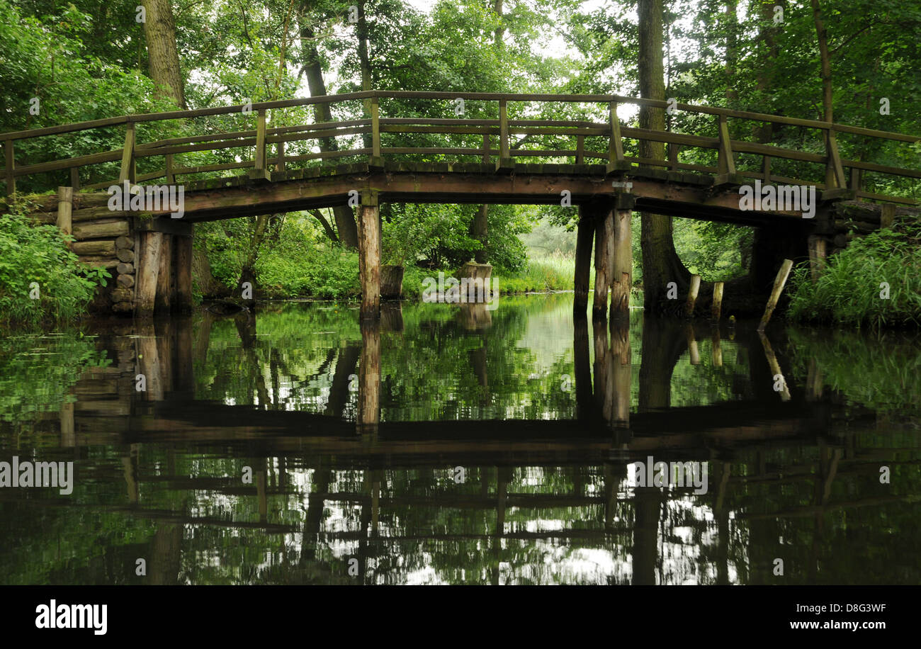 Bridge in the Spree forest Stock Photo