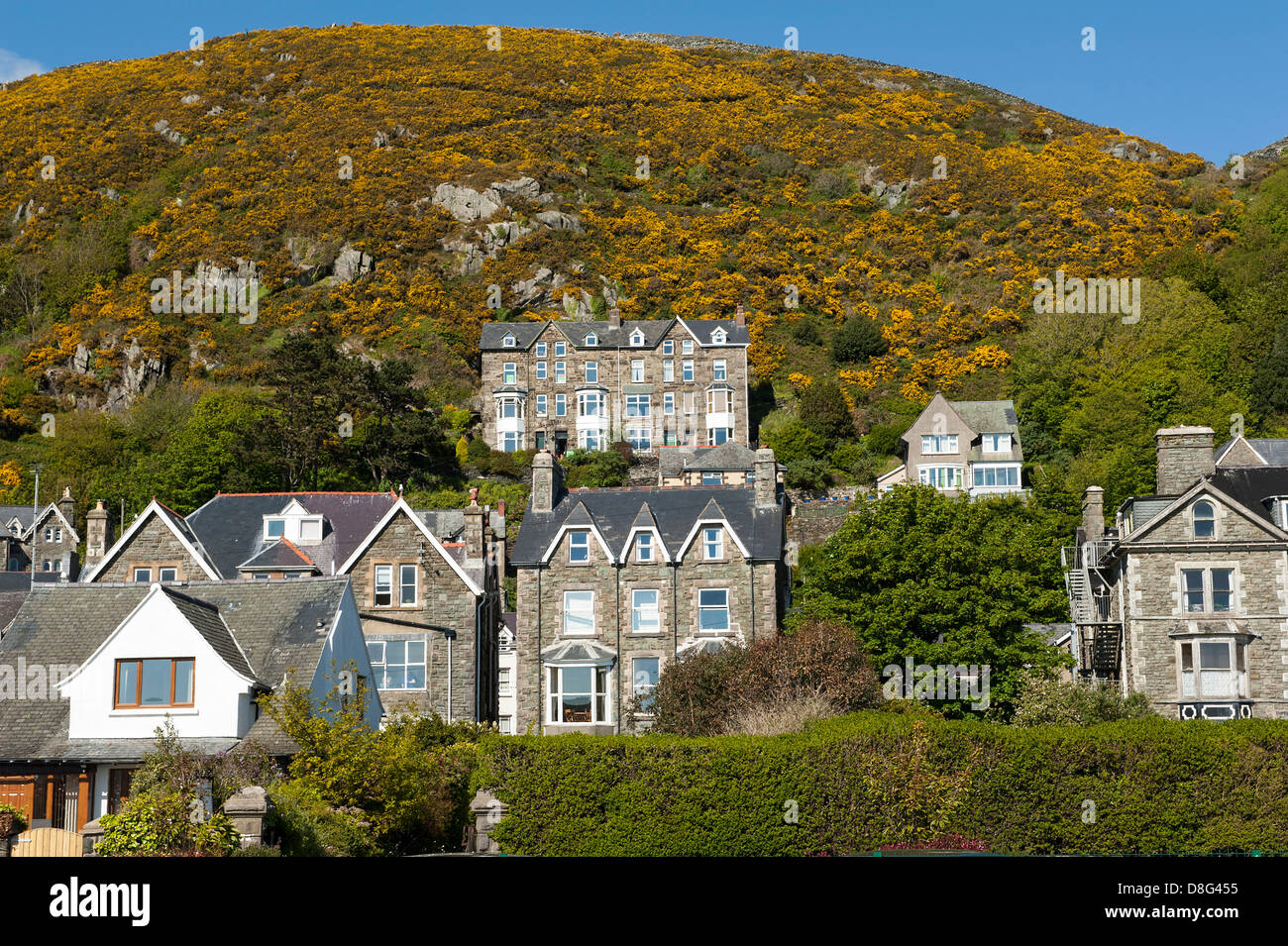 Typical stone built houses on hillside, Barmouth, North Wales Stock
