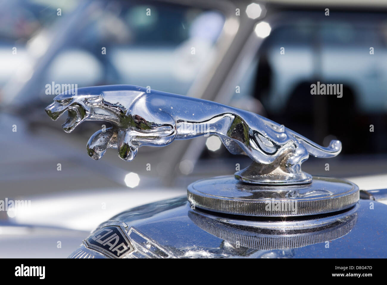 Vintage Car Hood Ornament of a Jaguar Stock Photo Alamy
