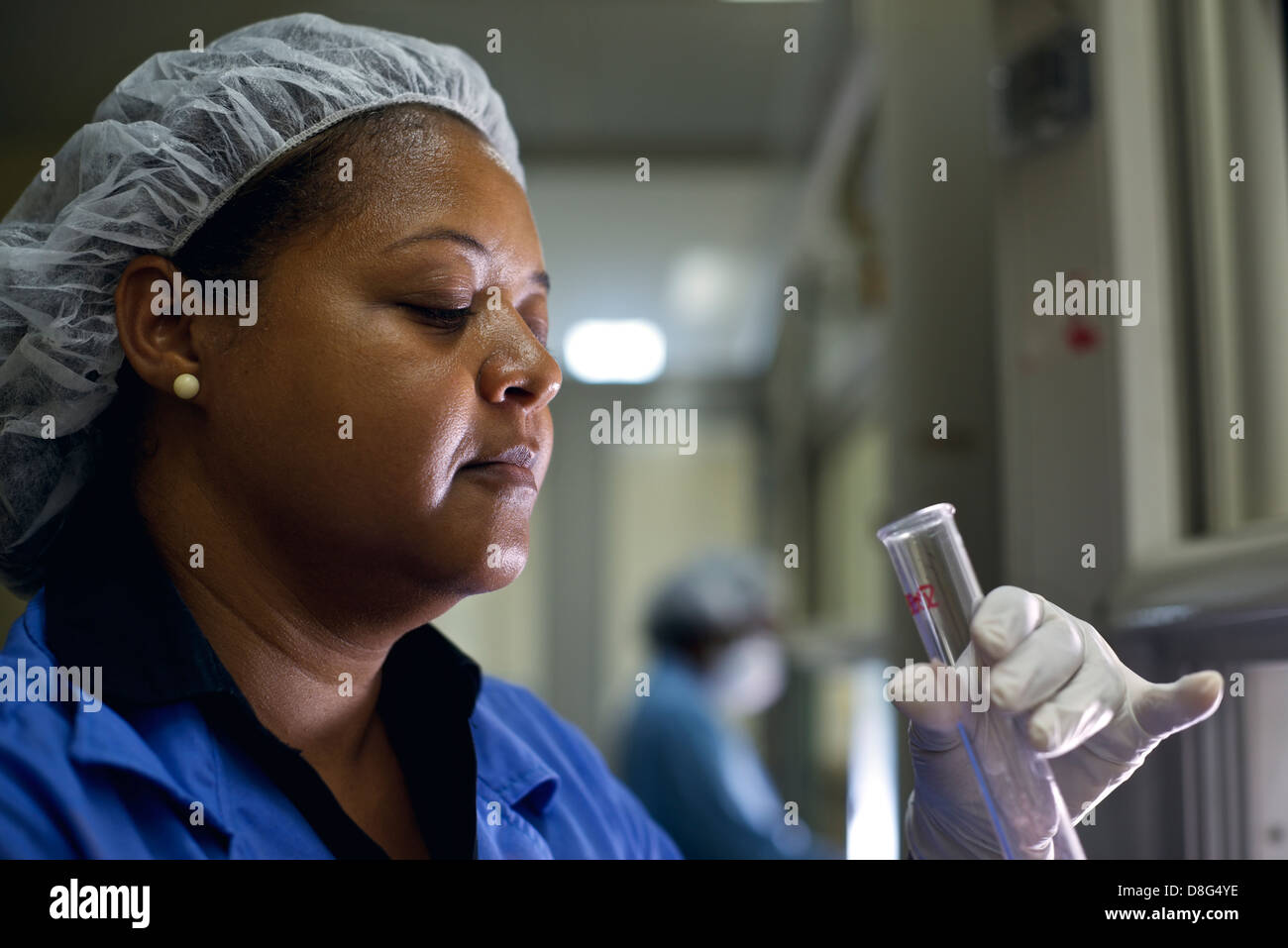 People and science, staff member at work as chemist doing test in industrial lab Stock Photo