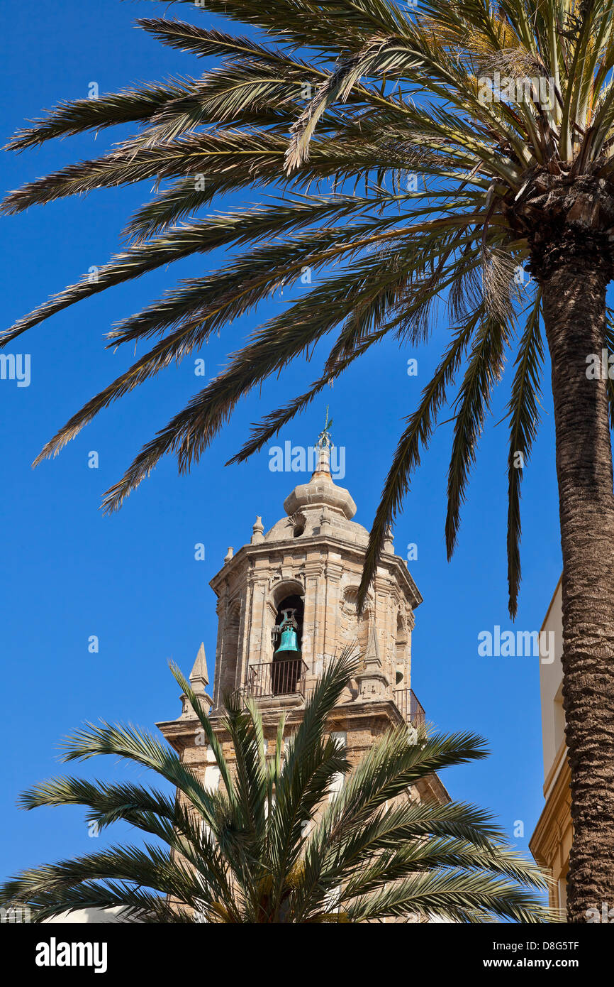 Cadiz watchtower with palm fronds Stock Photo
