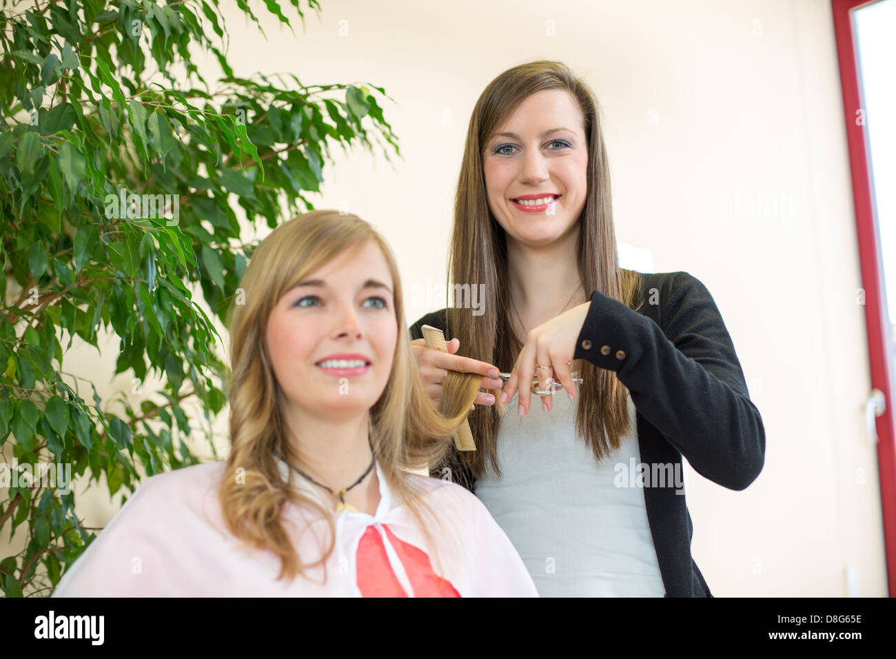 Happy customer getting her hair cut by hairdresser or stylist in salon Stock Photo