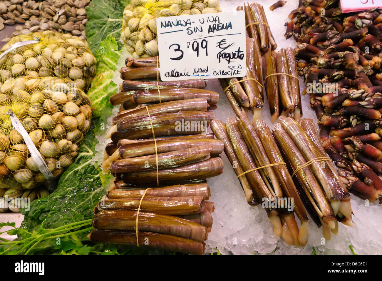 Razor Clams for sale at a Spanish fish market Stock Photo Alamy
