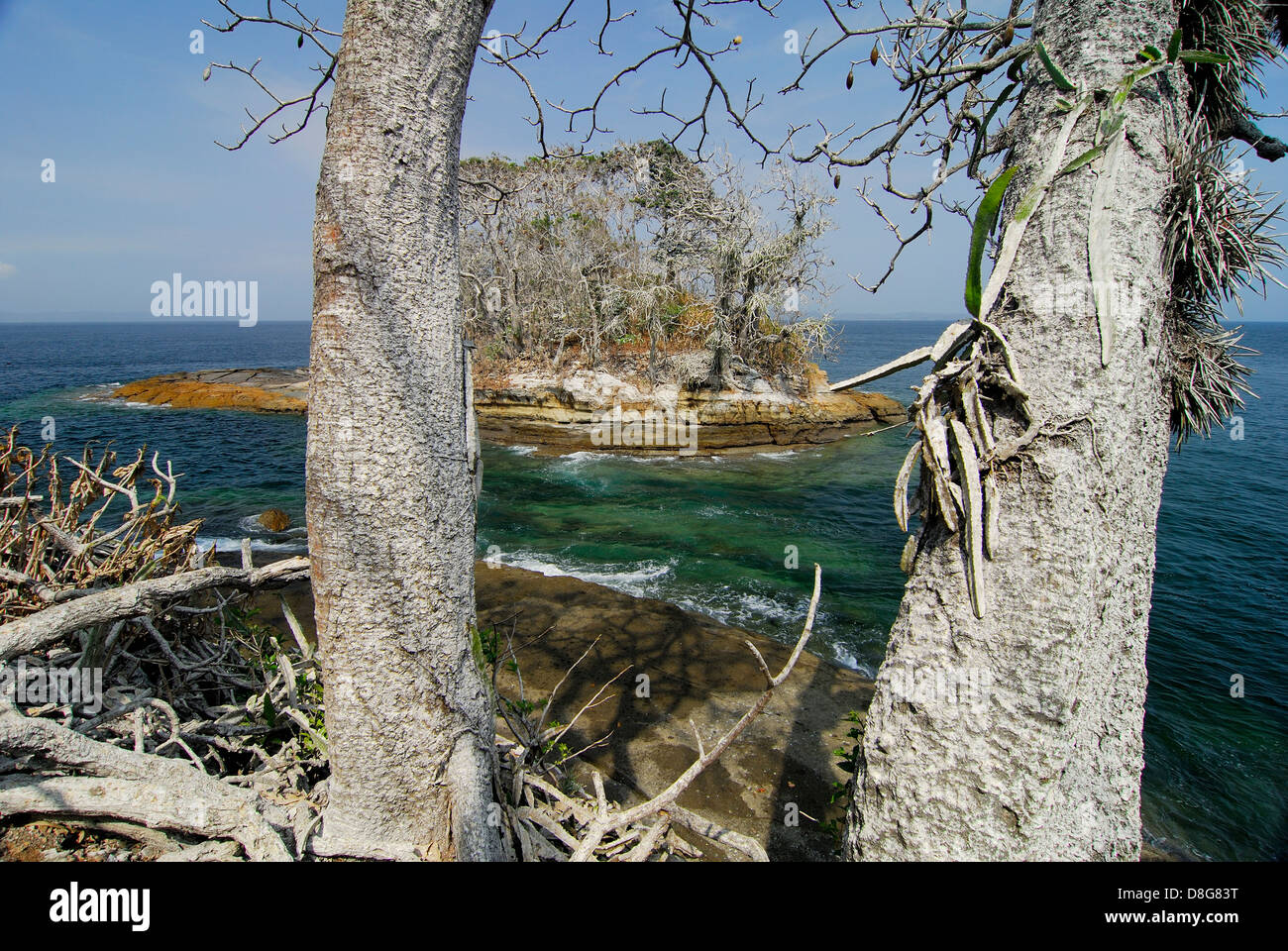 Tree trunks and rock island at Mogo Mogo island shore Stock Photo