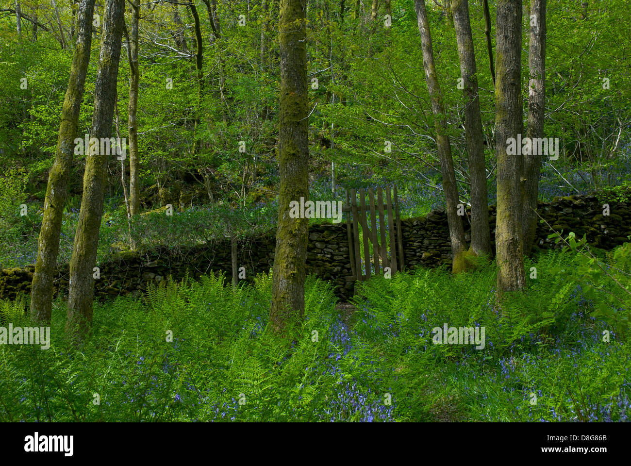 Farrers Stock Photos & Farrers Stock Images - Alamy