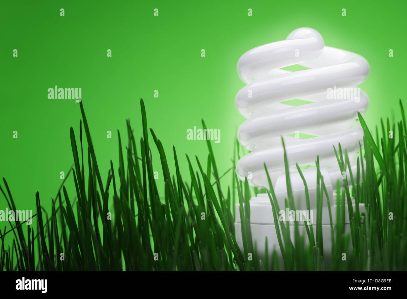 Energy saving compact fluorescent lightbulb Stock Photo - Alamy