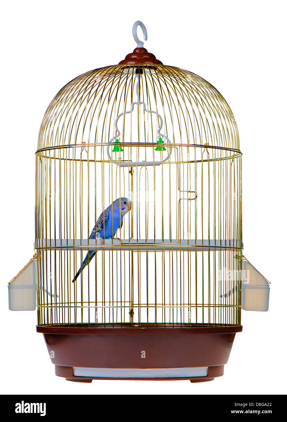 Parrot in cage Stock Photo Alamy
