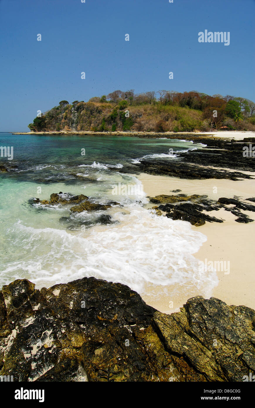 Rocky beach and forest in Contadora island Stock Photo