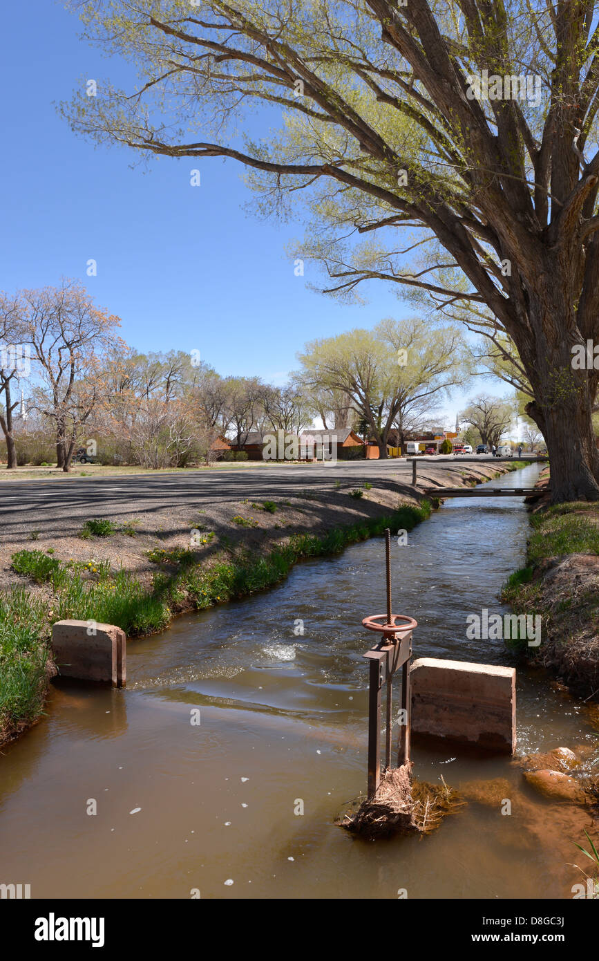 Irrigation ditch and cottonwood trees along the main street in Torrey