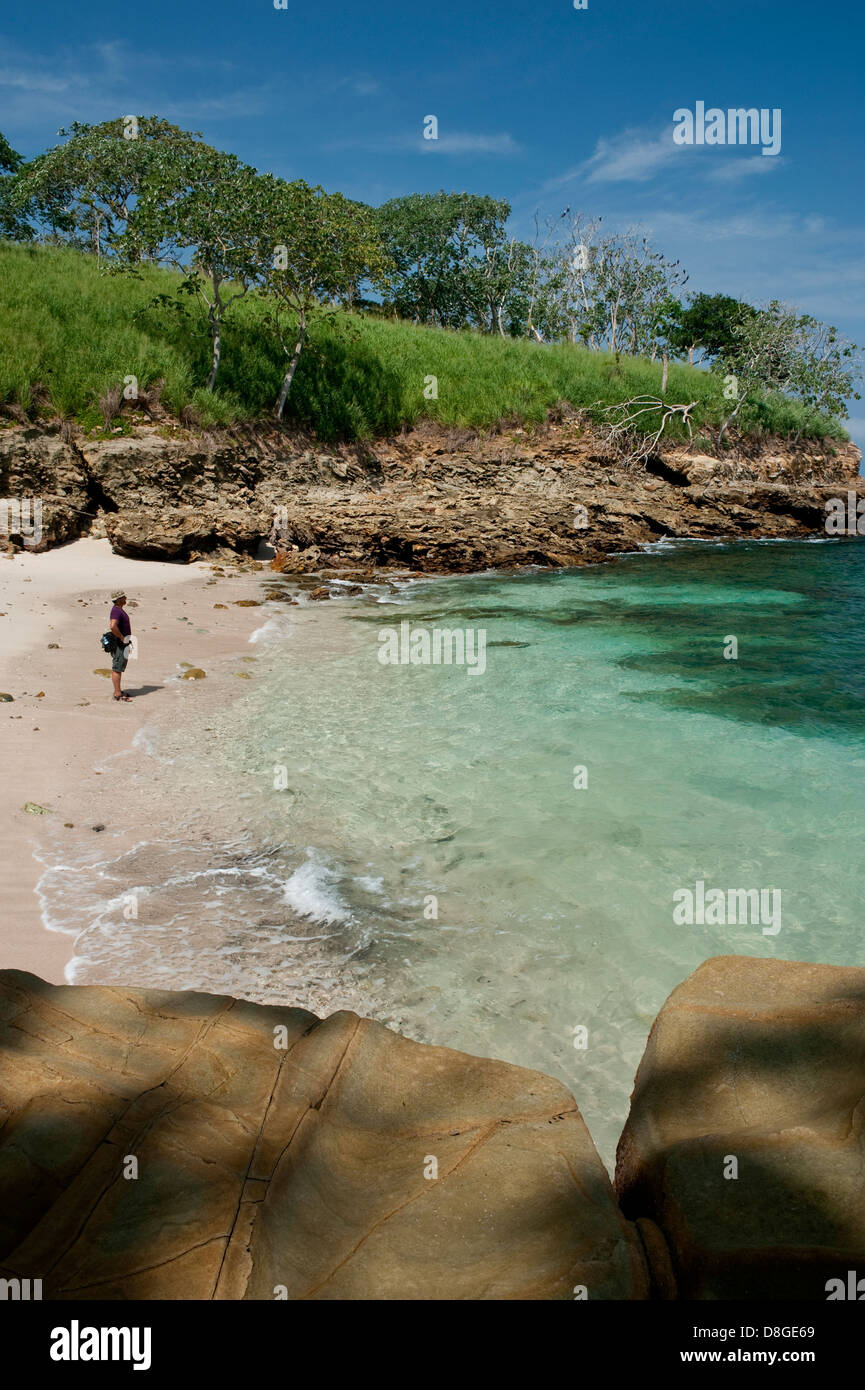 Rocky beach with clear waters and forest in Pacheca island Stock Photo