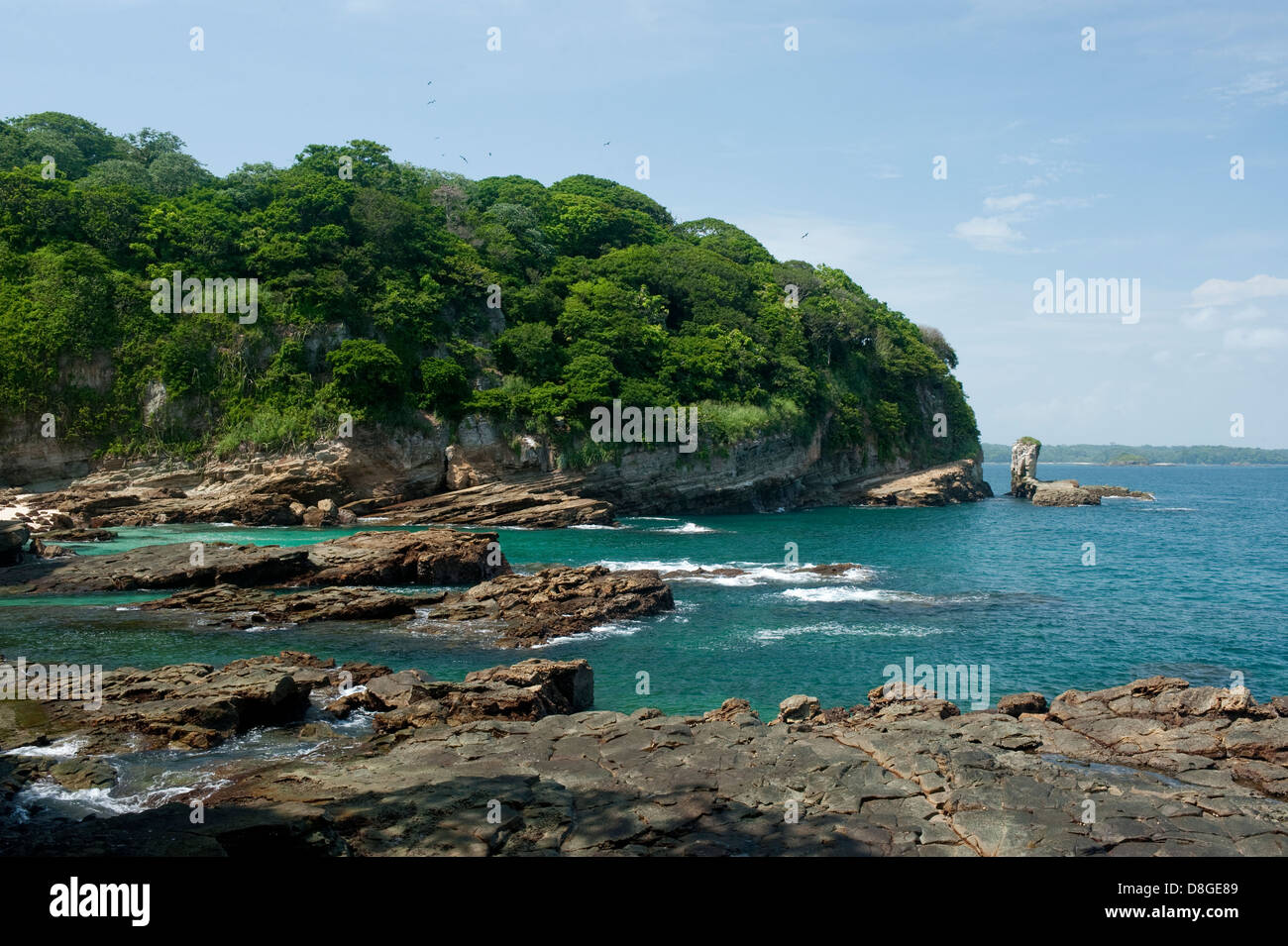 Rocky shore in low tide at Isla Pacheca island Stock Photo