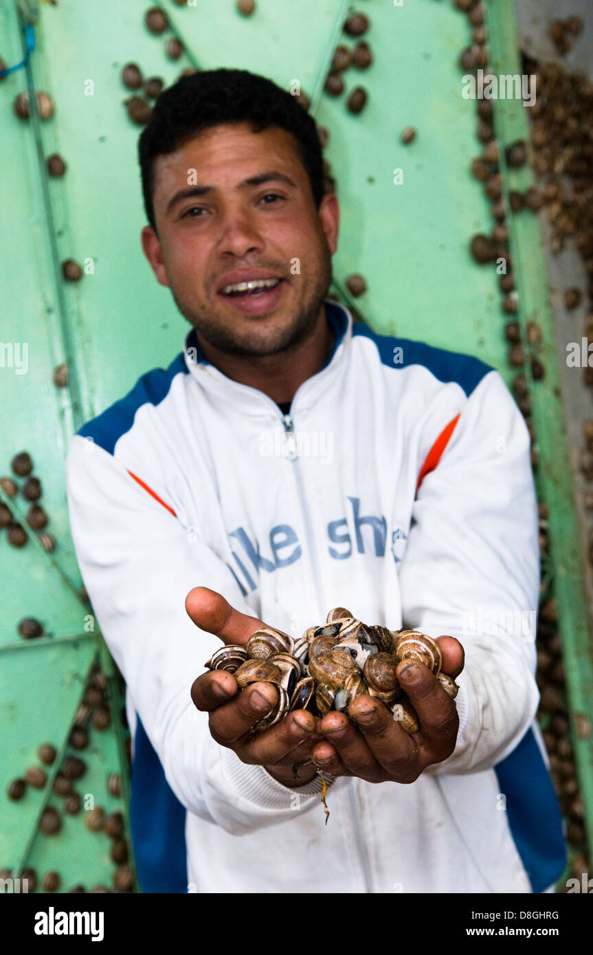 Snails for lunch in Morocco Stock Photo Alamy