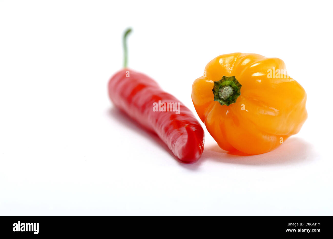 Orange, Habanero, Red Pepper, Stock Photo