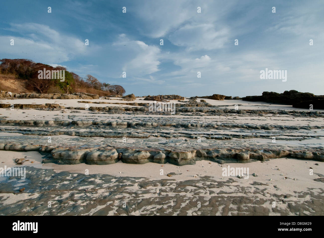 Rocky sea bed in low tide at Isla Pacheca shore Stock Photo