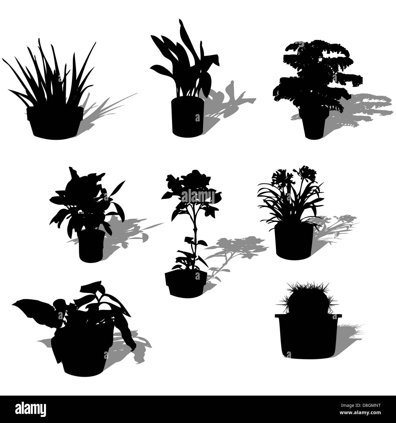 Potted plants Black and White Stock Photos & Images - Alamy
