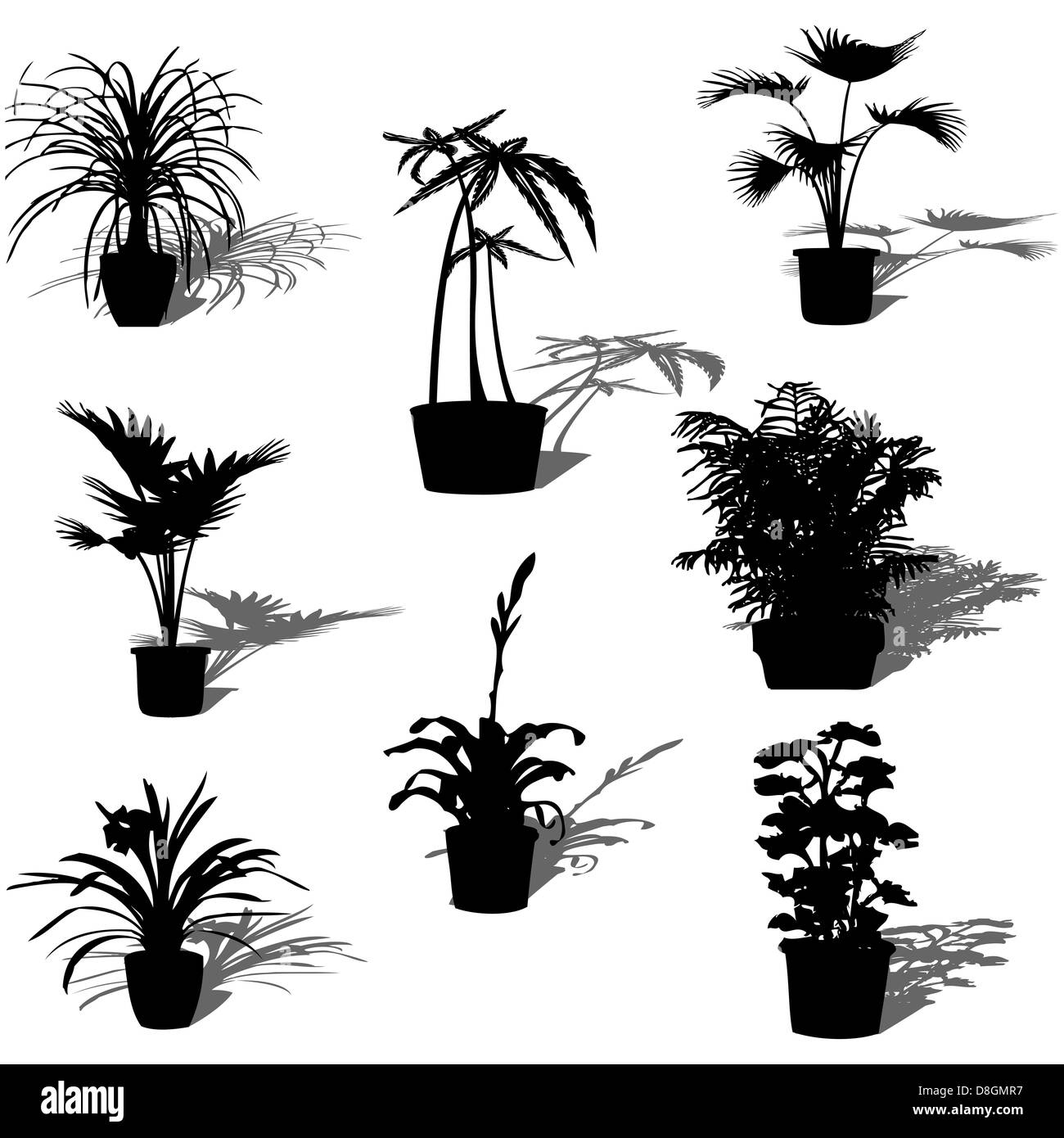 Potted plants Black and White Stock Photos & Images - Alamy