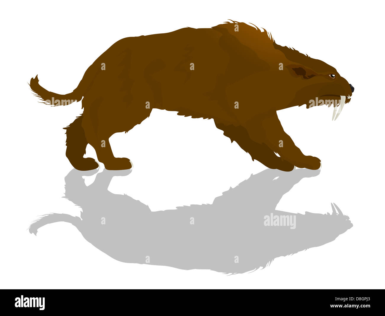 Sabretooth Stock Photo Alamy