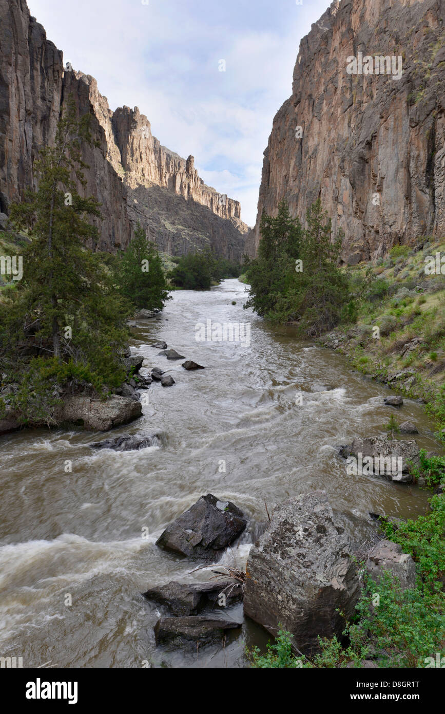 Bruneau River Canyon, Idaho Stock Photo Alamy