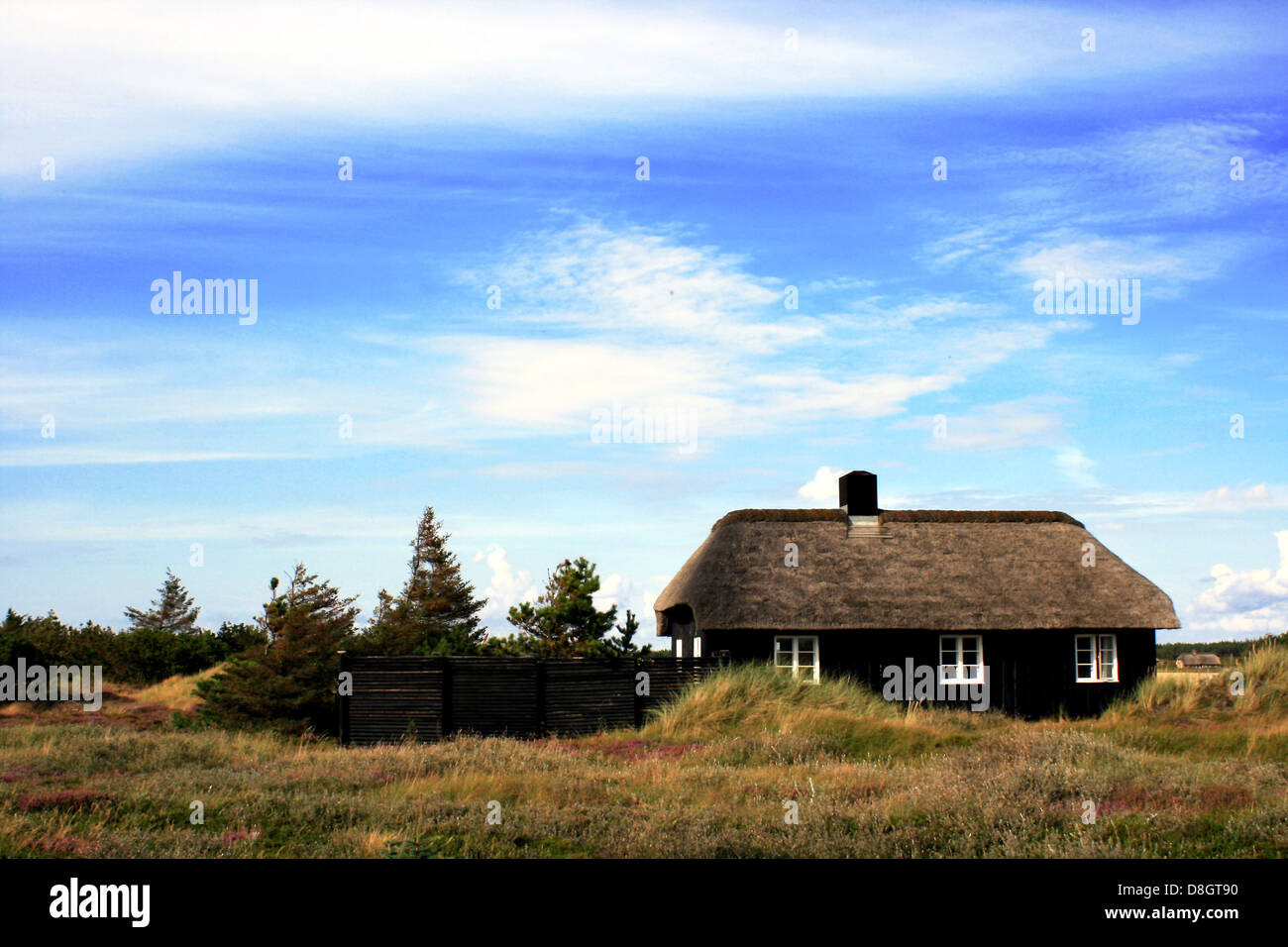 Danish thatched house Stock Photo